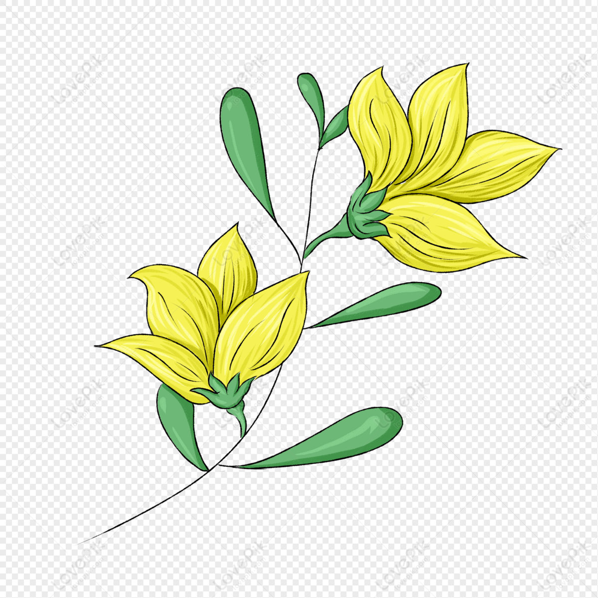 How to Draw a Jasmine Flower - Really Easy Drawing Tutorial