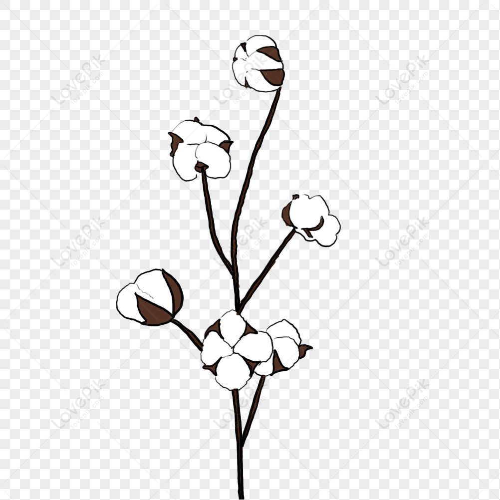 A Cotton Element PNG White Transparent And Clipart Image For Free ...