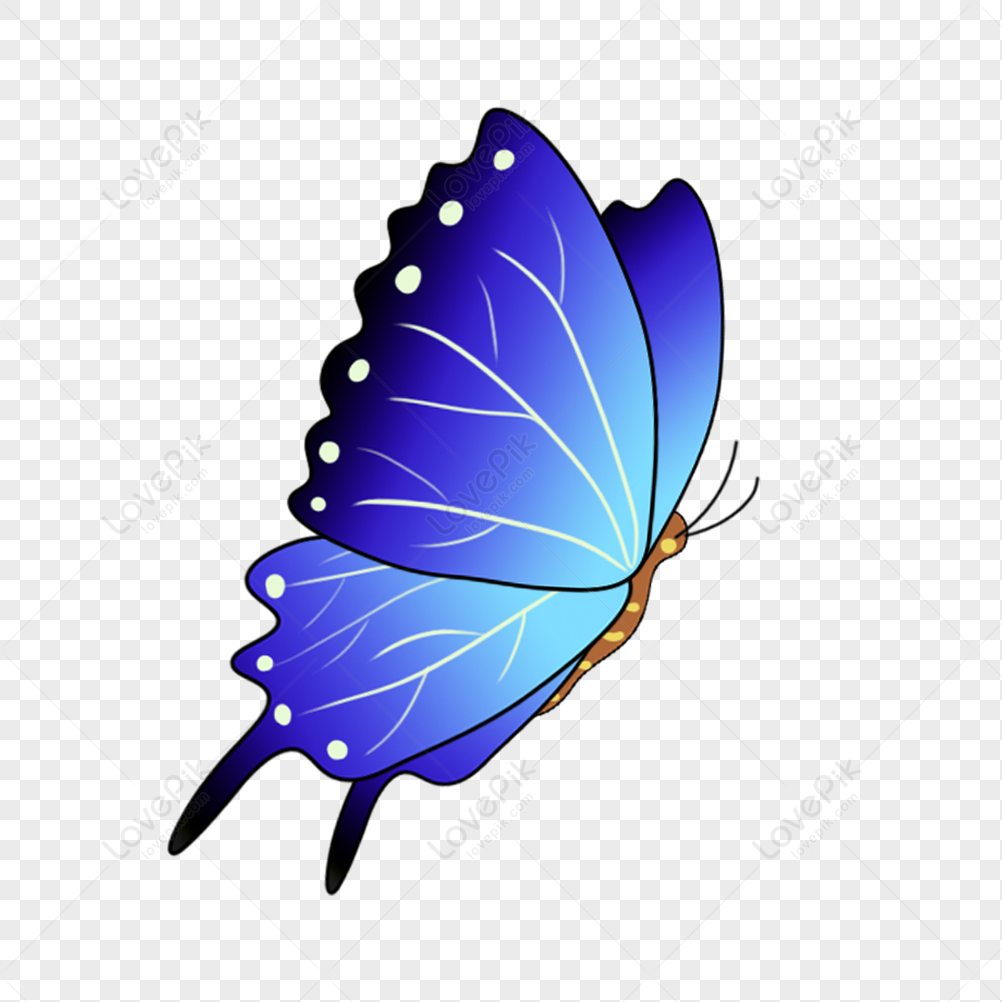Blue Gradient Butterfly PNG Hd Transparent Image And Clipart Image For Free  Download - Lovepik | 401370934