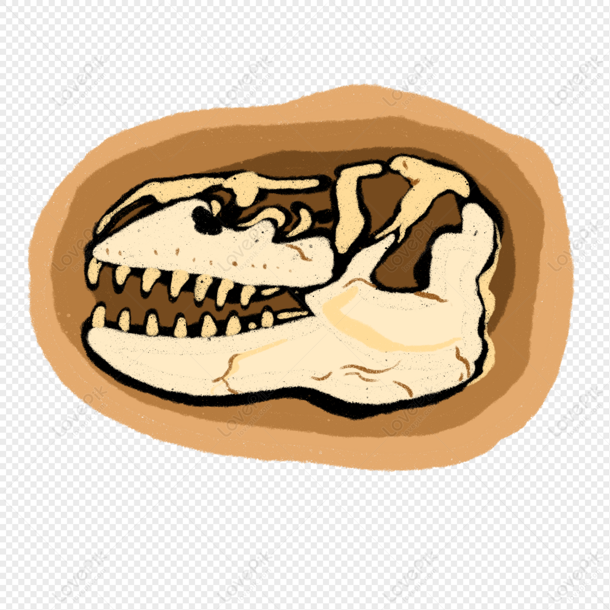 Dibujos Animados Animal Cráneo Fósil Ilustración PNG Imágenes Gratis -  Lovepik