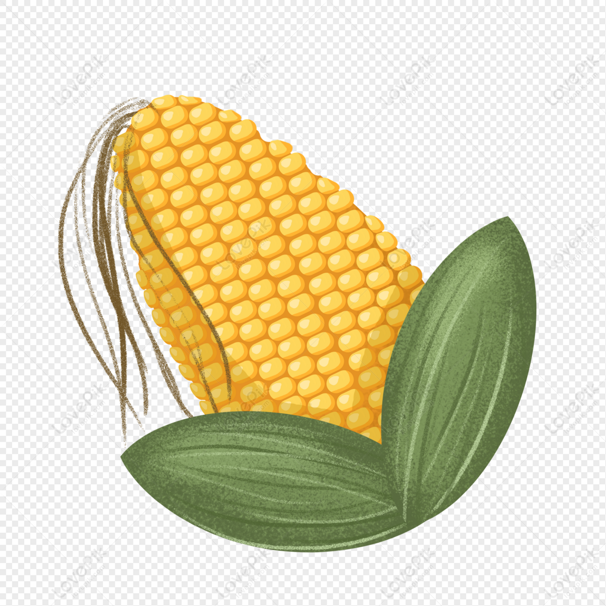 Corn Vector Images, HD Pictures For Free Vectors Download 