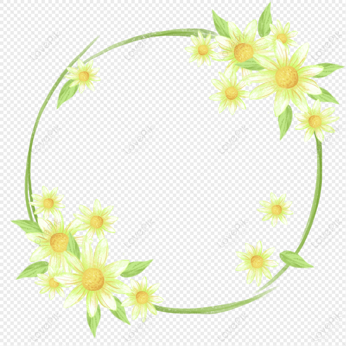 Daisy Border Flowers Green Flowers Transparent Flowers Yellow Png