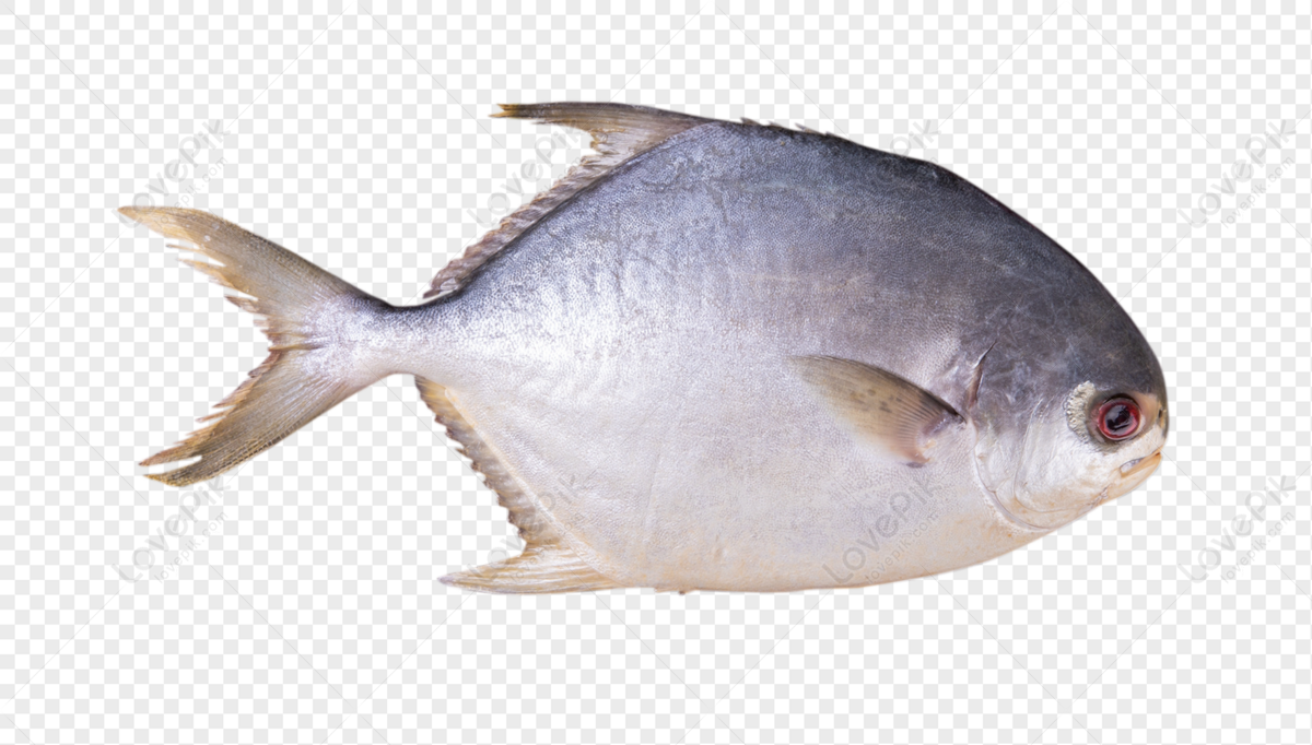 vaval fish image clipart