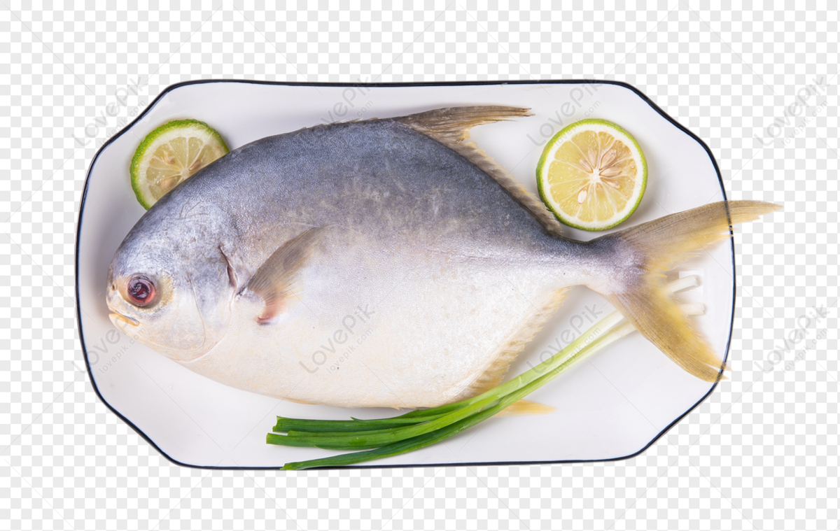 vaval fish image clipart