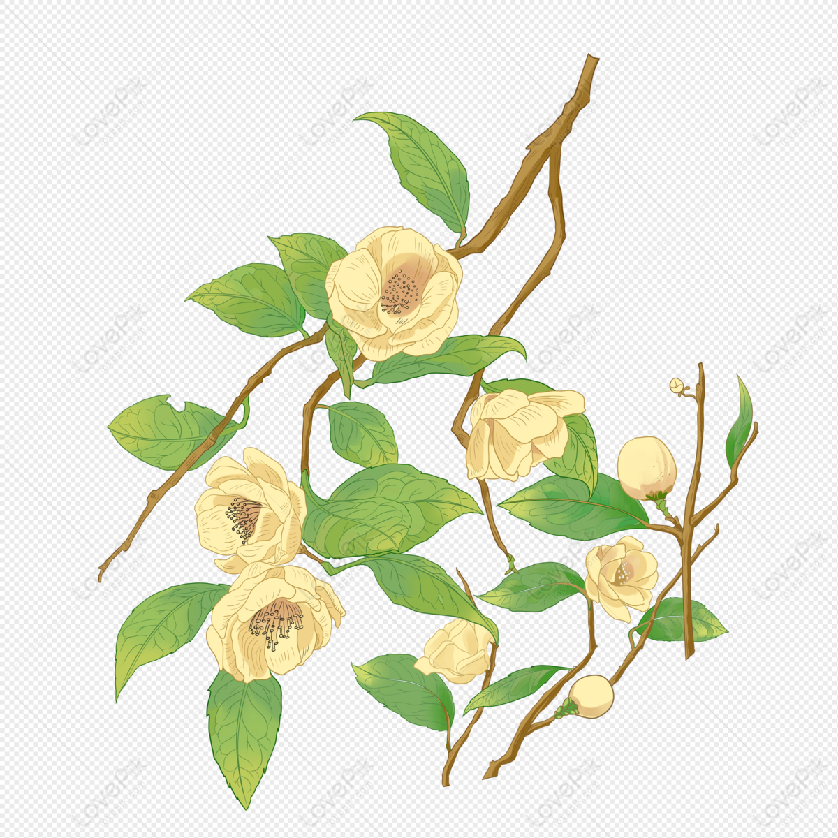 Trà hoa: Hãy khám phá hương vị độc đáo của trà hoa cùng với những bông hoa tươi tắn, nhẹ nhàng như sương mai. Được làm từ những loại hoa thơm ngon như hồng, jasmine hay lavender, trà hoa không chỉ giúp thư giãn tinh thần mà còn có nhiều lợi ích cho sức khỏe.