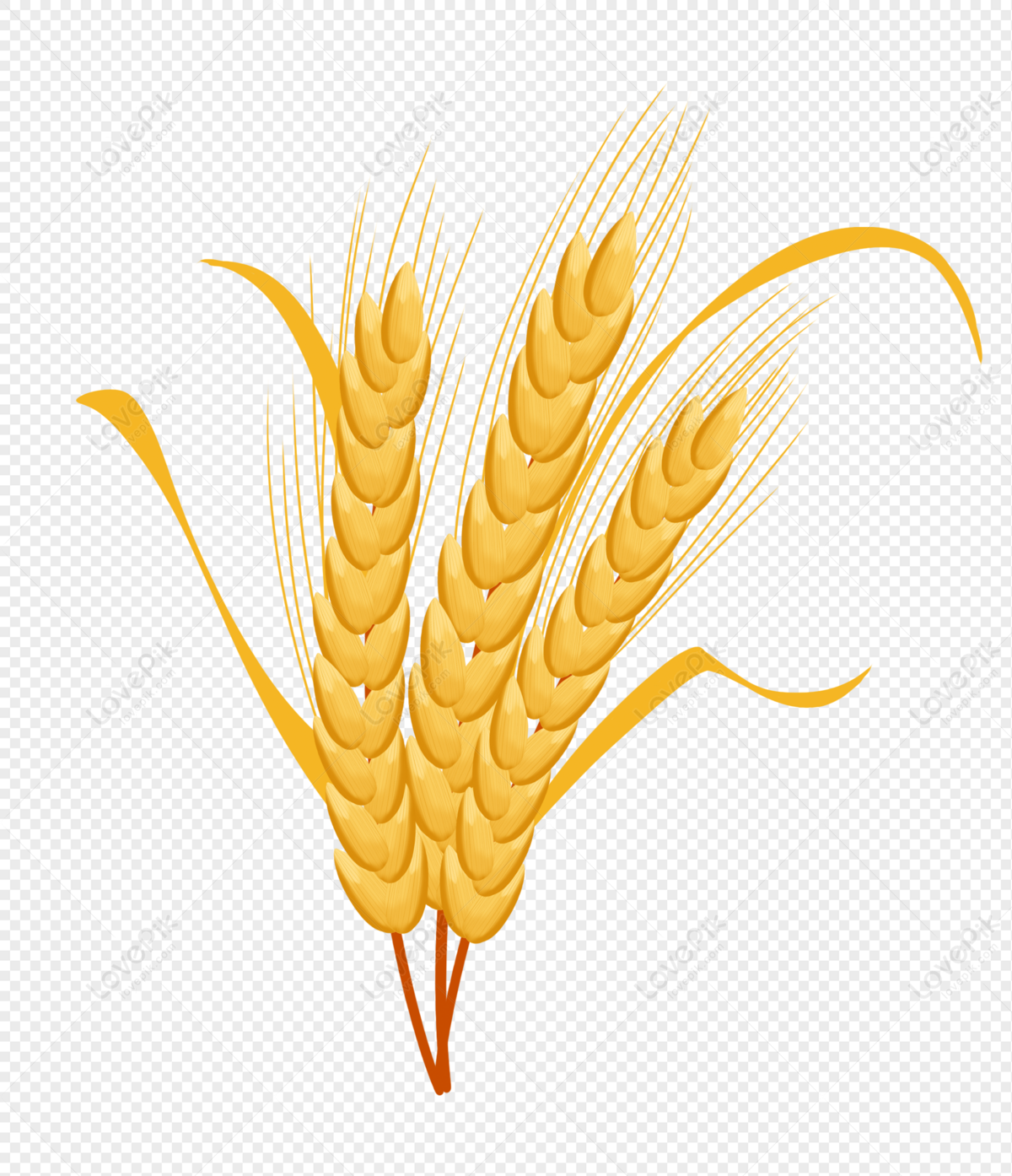 Golden Yellow Wheat PNG White Transparent And Clipart Image For Free  Download - Lovepik | 401361082