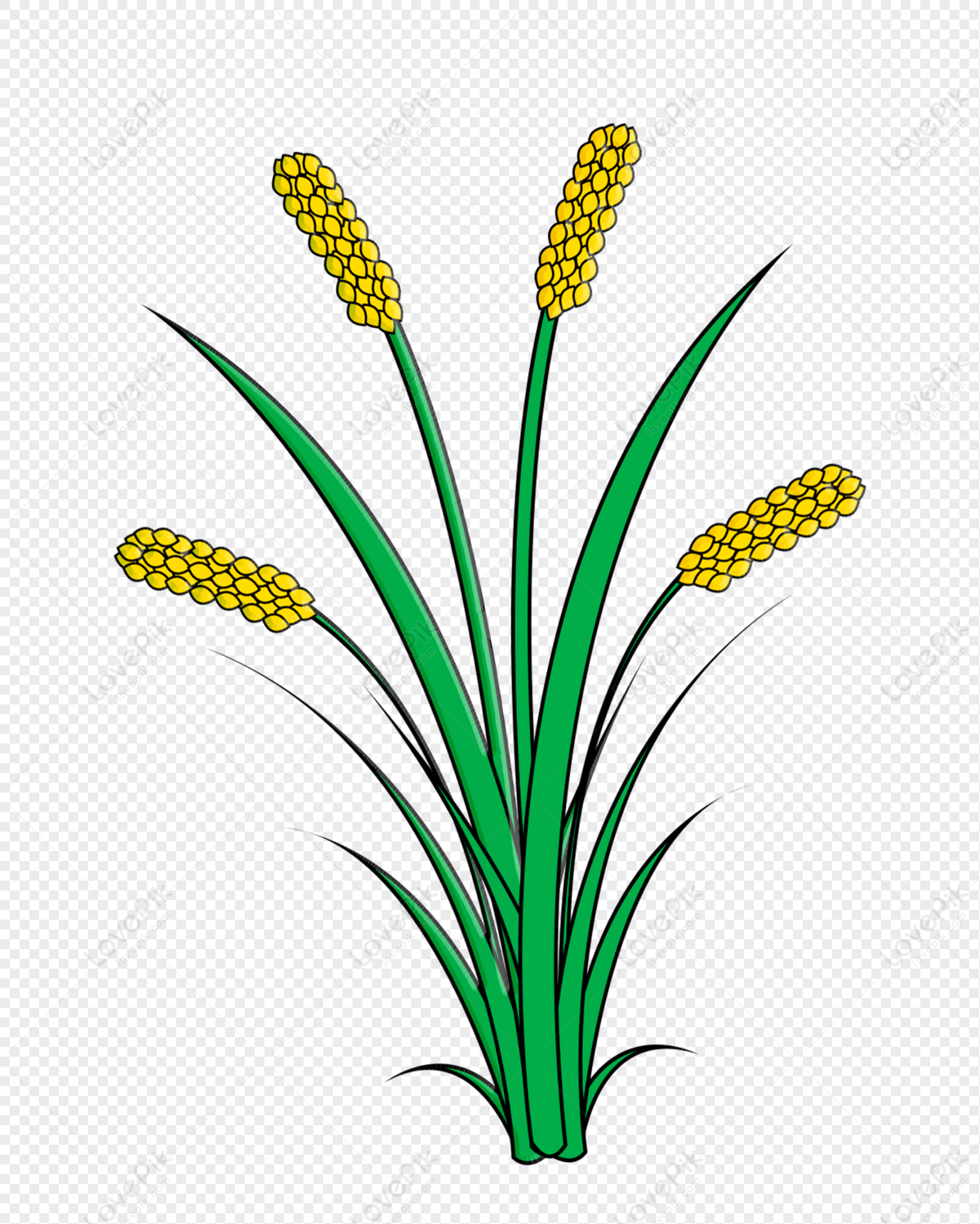 Green Leaf Rice, Art Clipart, Light Yellow, Crop PNG Picture And ...