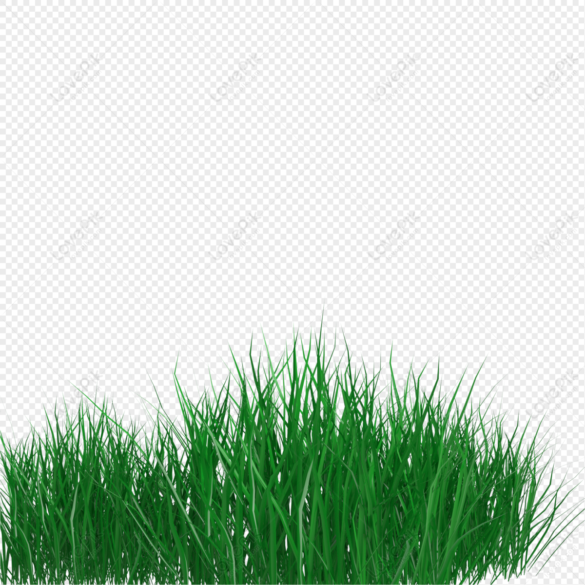 Green Meadow, Cool Summer, Cool Down, Plant Free PNG And Clipart Image ...