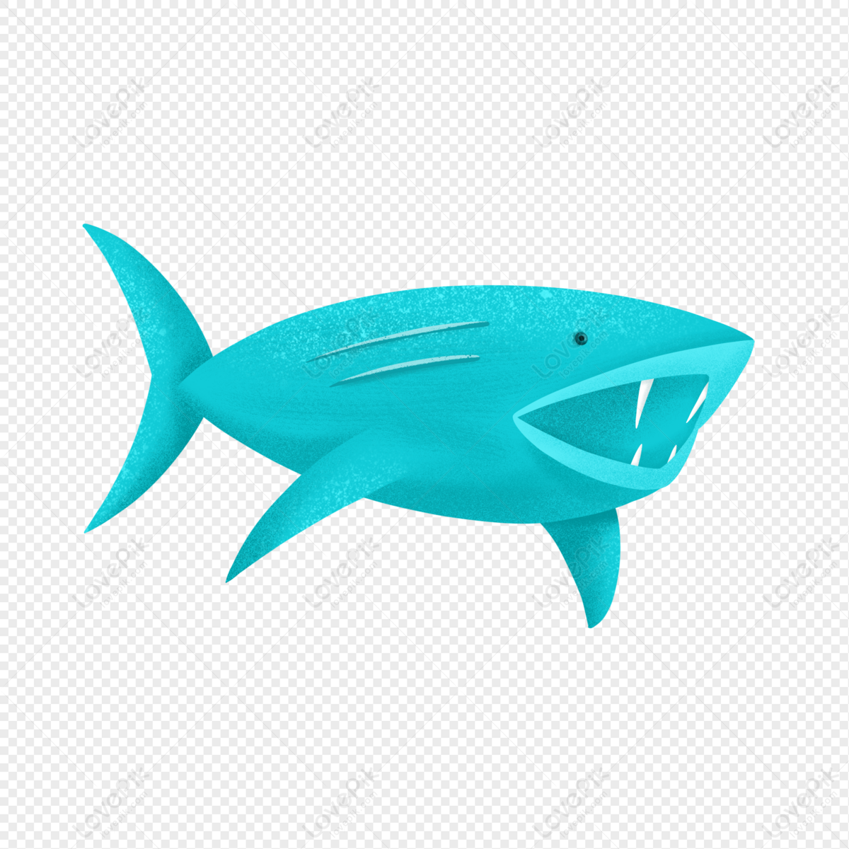 Hình ảnh Vẽ Tay Hình ảnh Cá Mập PNG Miễn Phí Tải Về - Lovepik