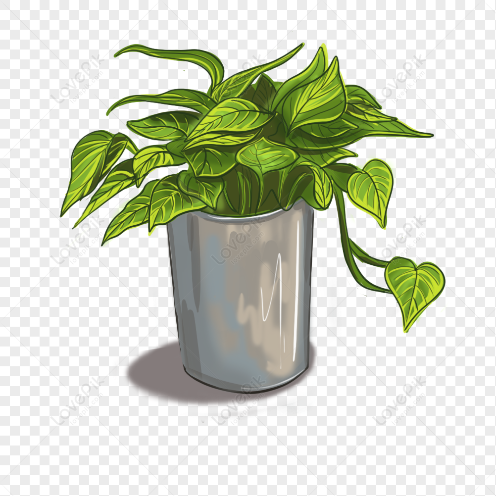 Hand Painted Green Plant Leaves Image Basil Plant Green Pot