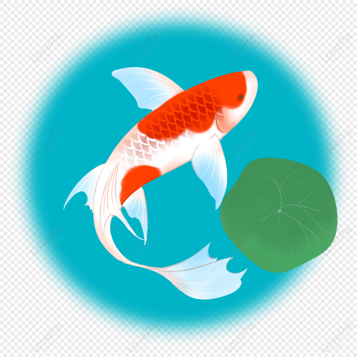 Fun water koi. Карп кои фото. Кои PNG. Koi PNG.