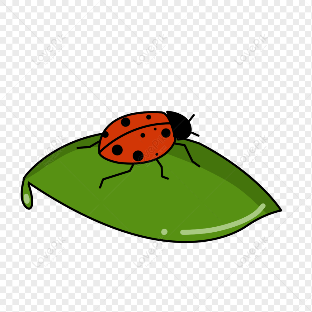 Ladybug Icon, Transparent Ladybug.PNG Images & Vector - FreeIconsPNG