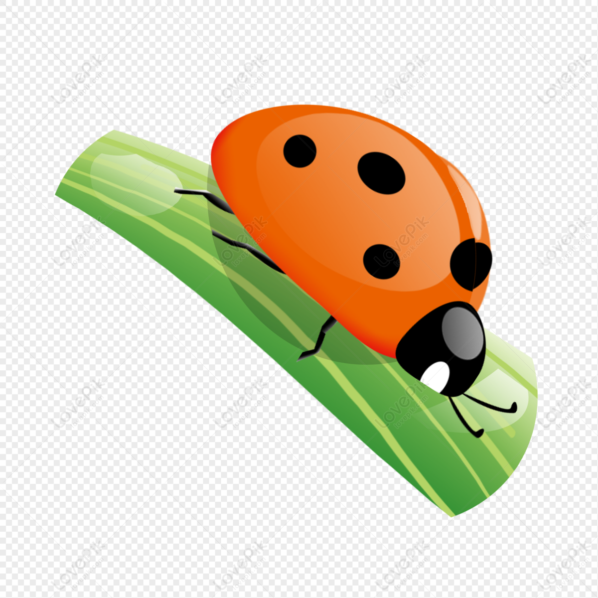 Lady Bug PNG, Vector, PSD, and Clipart With Transparent Background for Free  Download