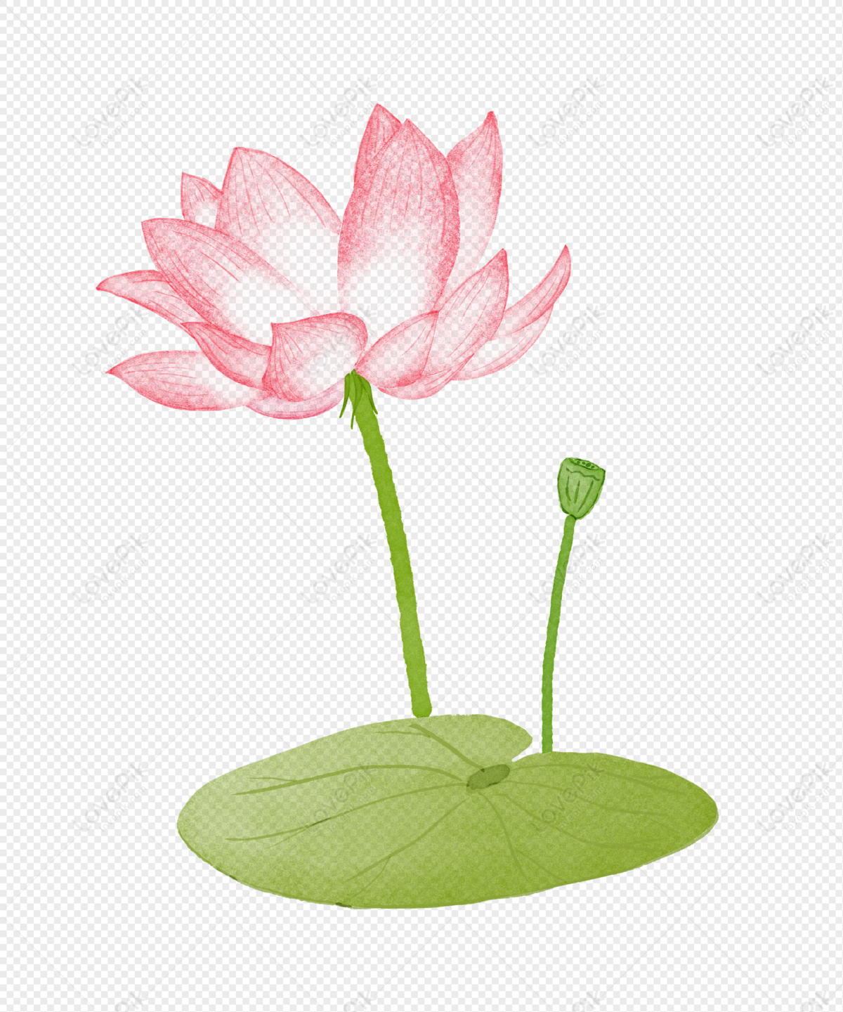 kesari_art #National_flower How to draw lotus for beginners//कमल का फूल का  चित्र बनाना// lotus draw - YouTube