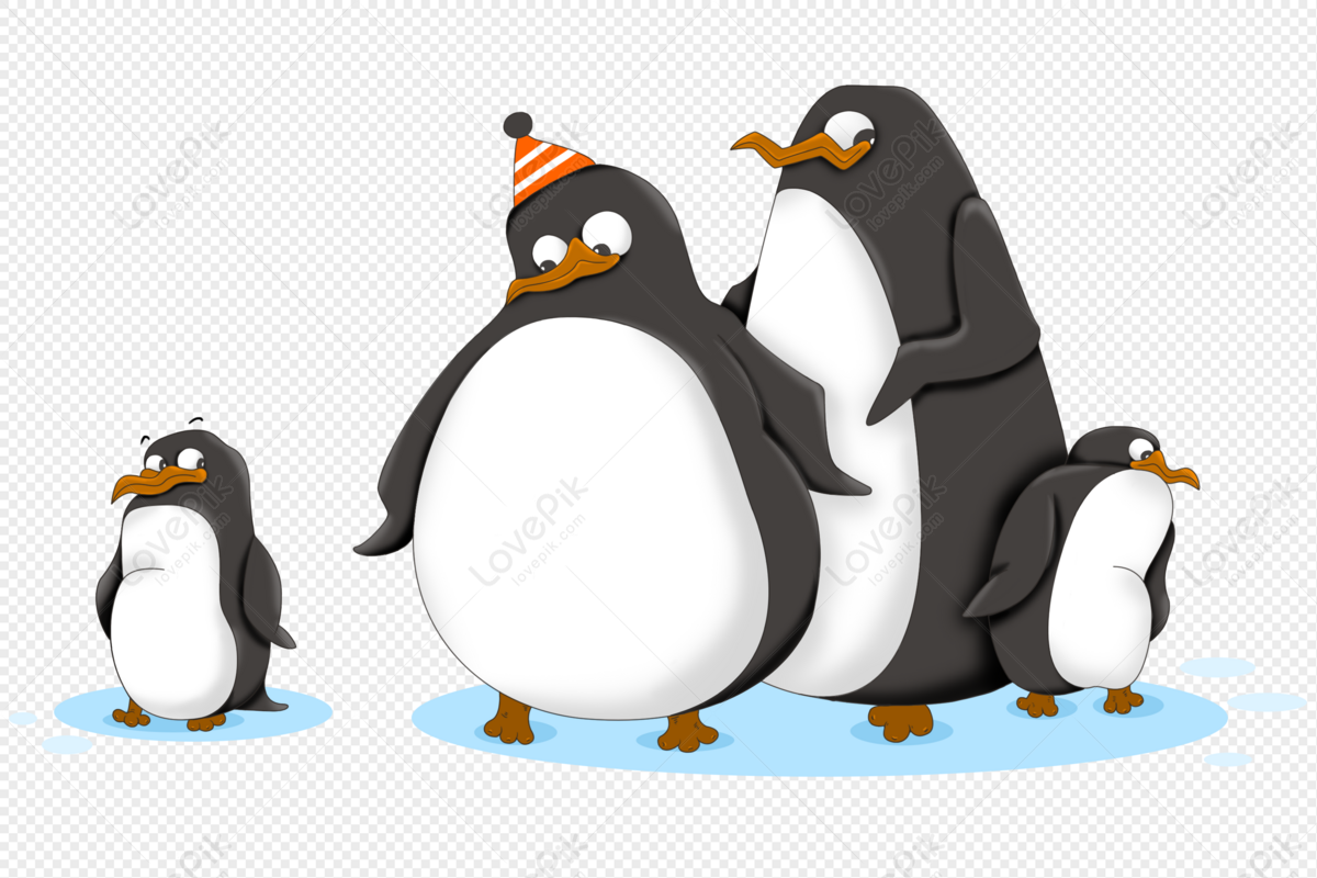 Penguin Family PNG Hd Transparent Image And Clipart Image For Free Download  - Lovepik | 401364164