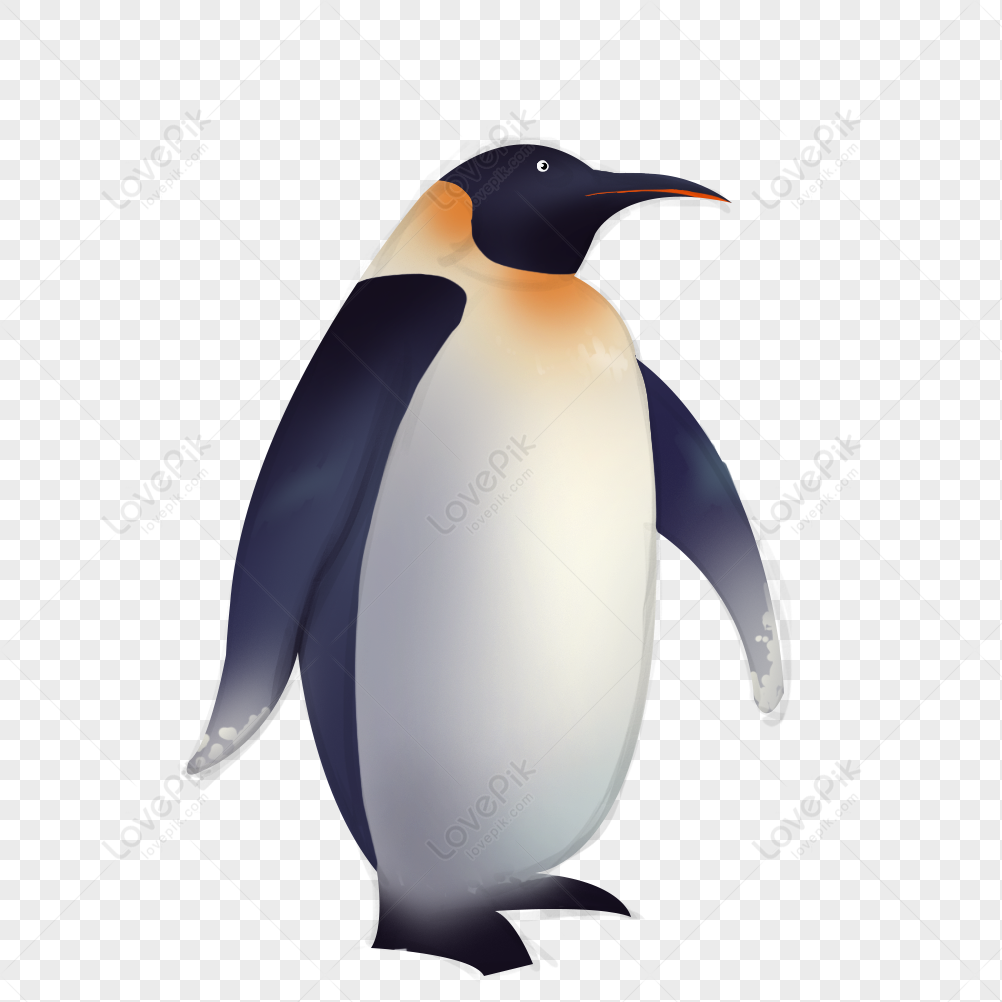 3d Penguins PNG, Vector, PSD, and Clipart With Transparent