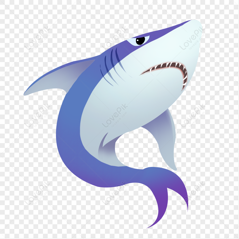 grey shark clipart mascot