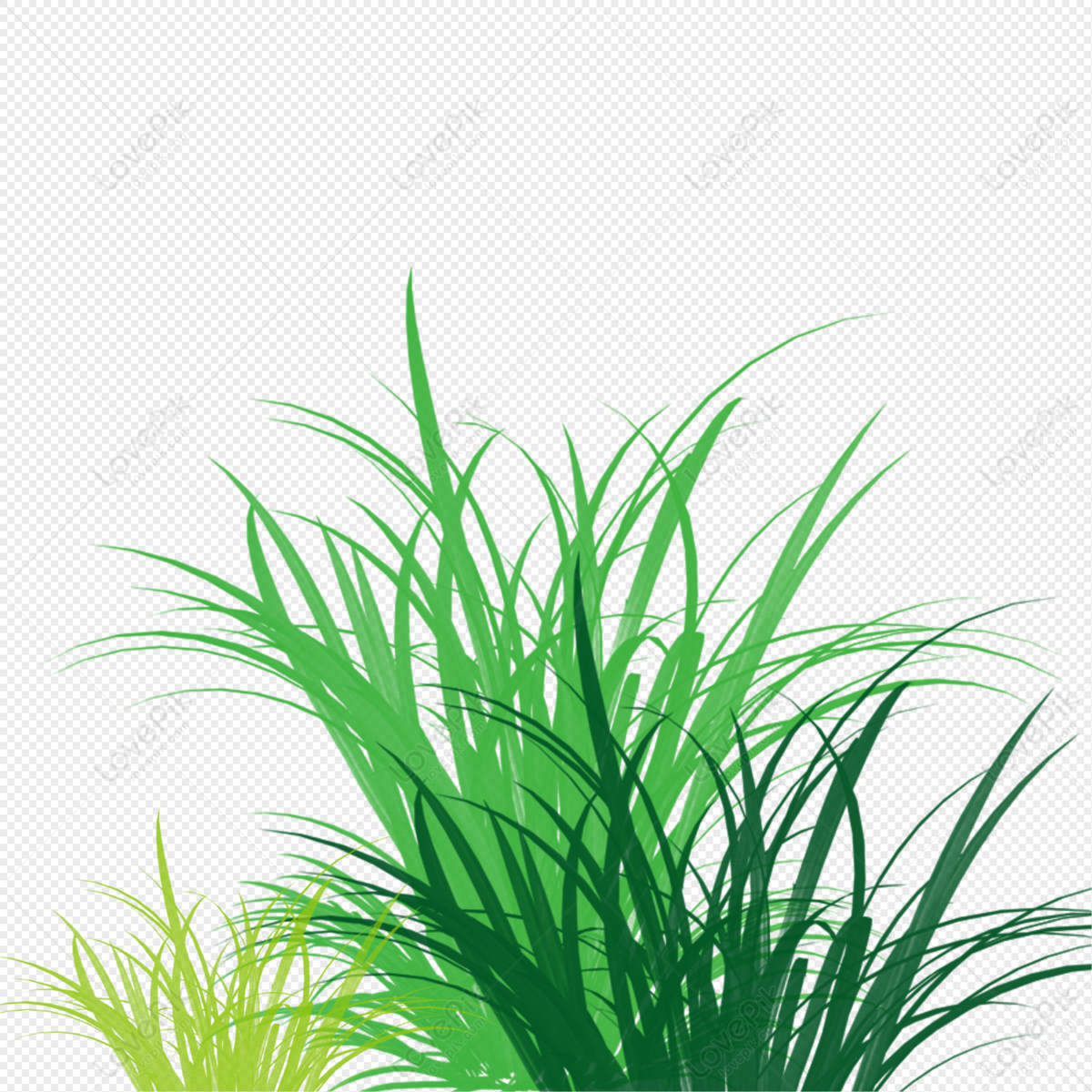 Spring And Summer Green Grass Yin Png Free Greening Plants, Tree ...