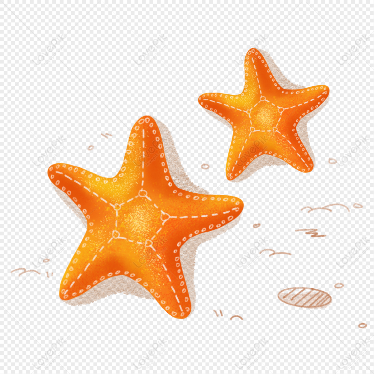 Starfish Cartoon Hand Drawn Free PNG And Clipart Image For Free Download -  Lovepik | 401352779
