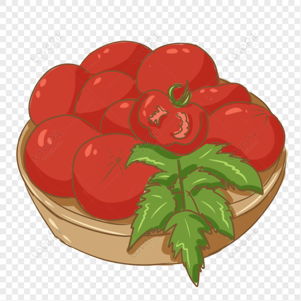 Summer Vegetable Tomato Hand Drawn Decoration PNG Transparent And ...