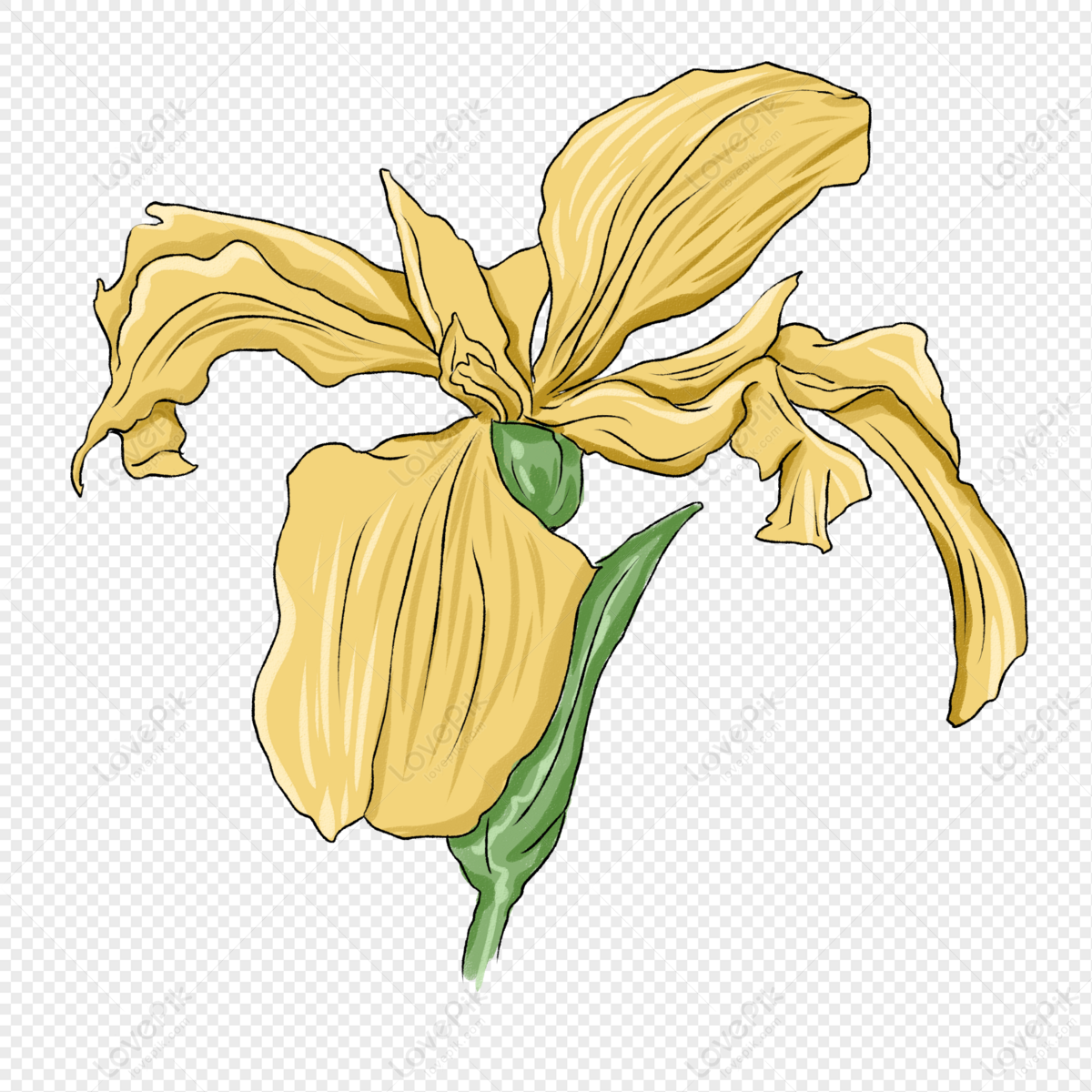 Buy Jasmine Flower SVG, Jasmine Botanical Illustration for Commercial Use,  Cut File for Cricut, Silhouette, Simple Line Art, Tattoo, Plant Online in  India - Etsy