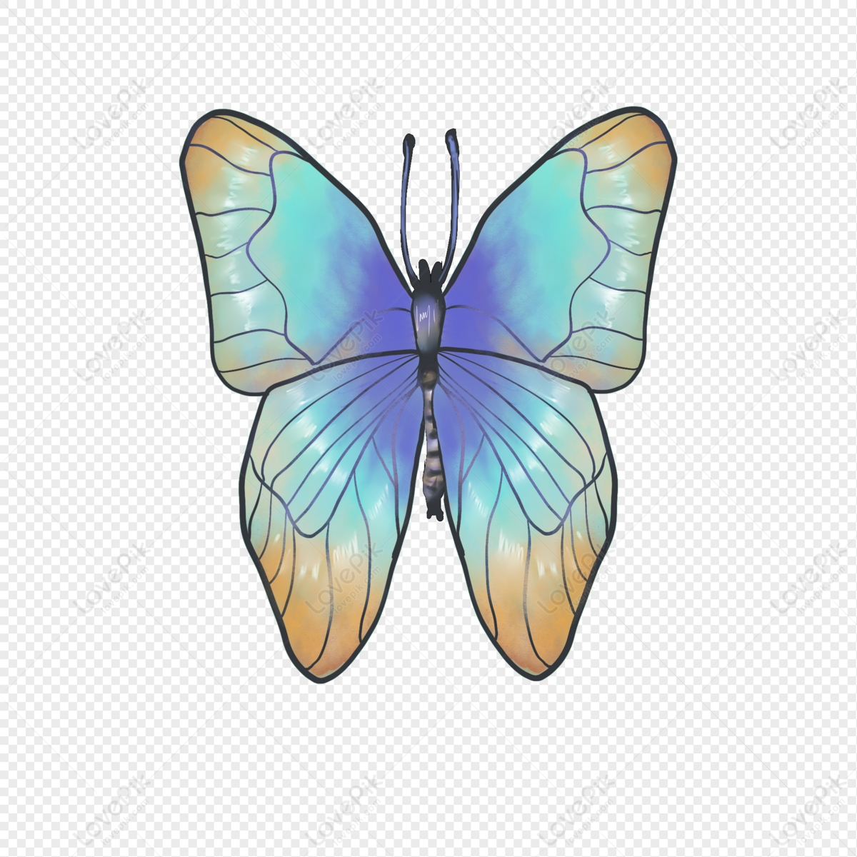blue butterflies print by Editors Choice | Posterlounge