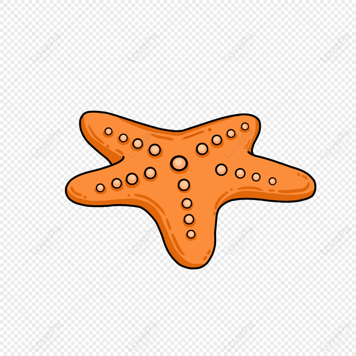 Cartoon Hand Drawn Starfish PNG Transparent Background And Clipart Image  For Free Download - Lovepik | 401389870