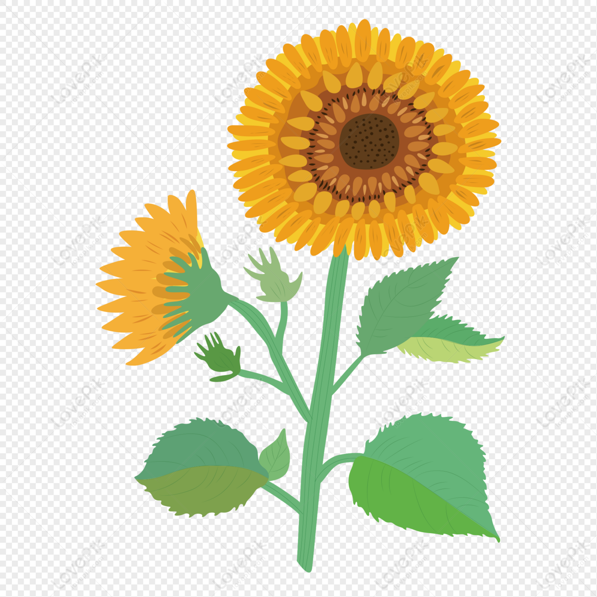 Cartoon Minimalistic Vector Sunflower Floral Element PNG Free Download And  Clipart Image For Free Download - Lovepik | 401379093