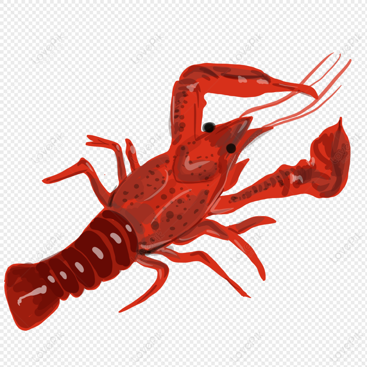 Crayfish, Light Red, Dark Red, Dark Light PNG Free Download And Clipart ...