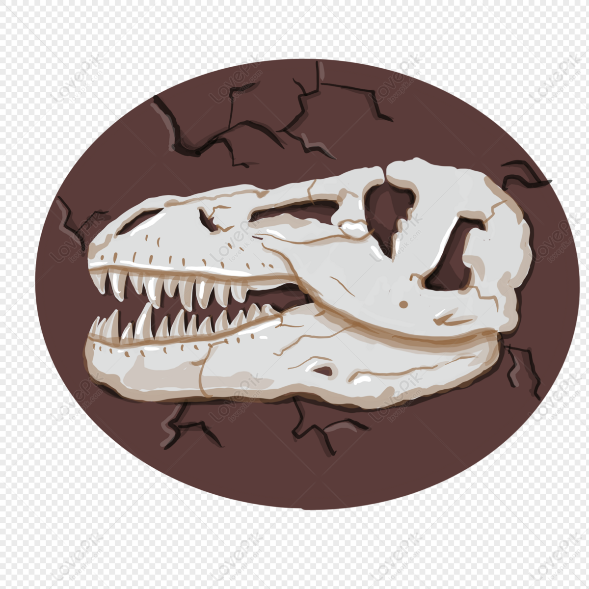 Dinosaur Fossil Images, HD Pictures For Free Vectors Download 