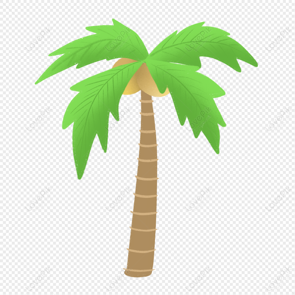 Fresh Summer Trees, Coconut Trees, Light White, Palm Vector, Green 