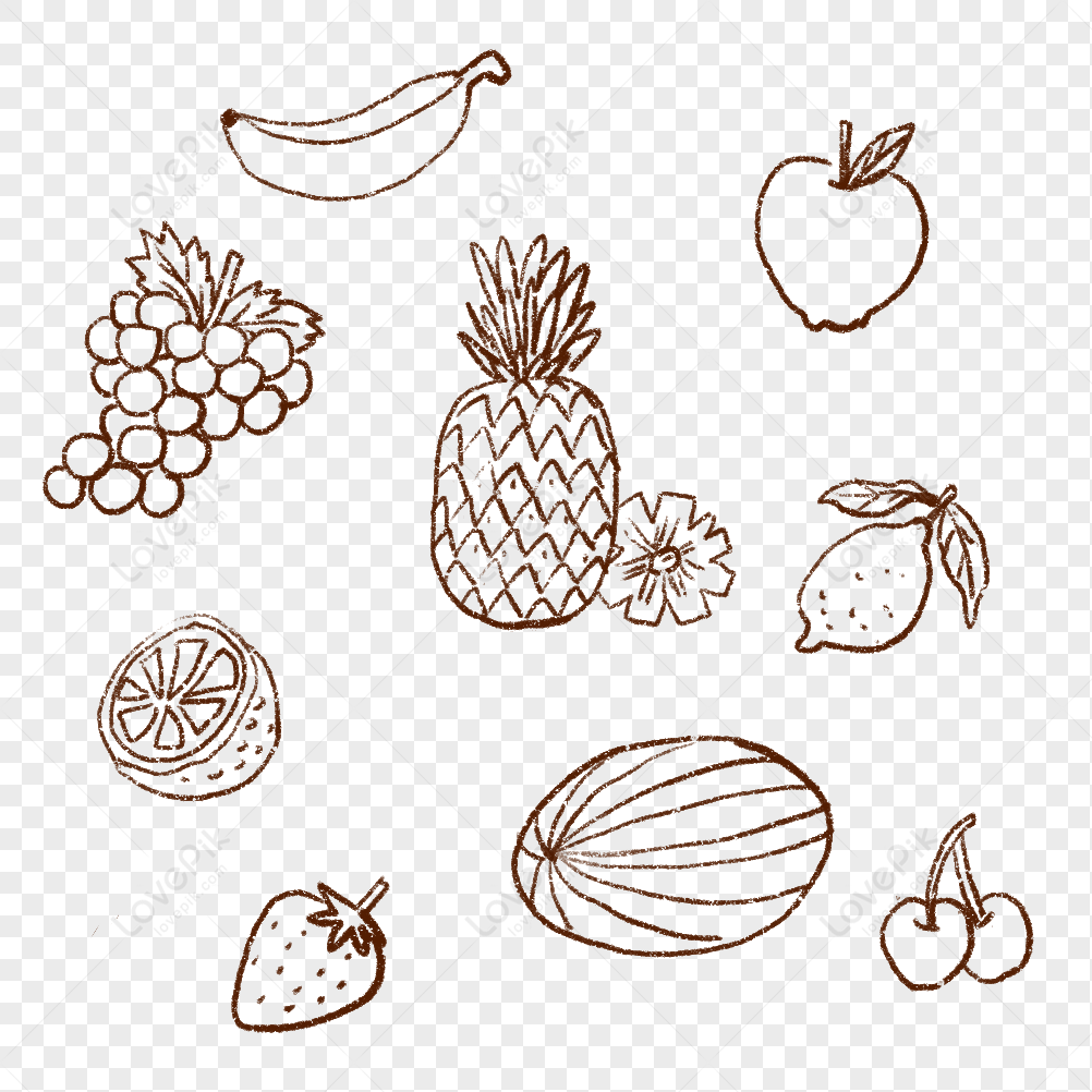 Vintage Fruit Contours Stock Illustration - Download Image Now - Fruit,  Drawing - Activity, Apple - Fruit - iStock