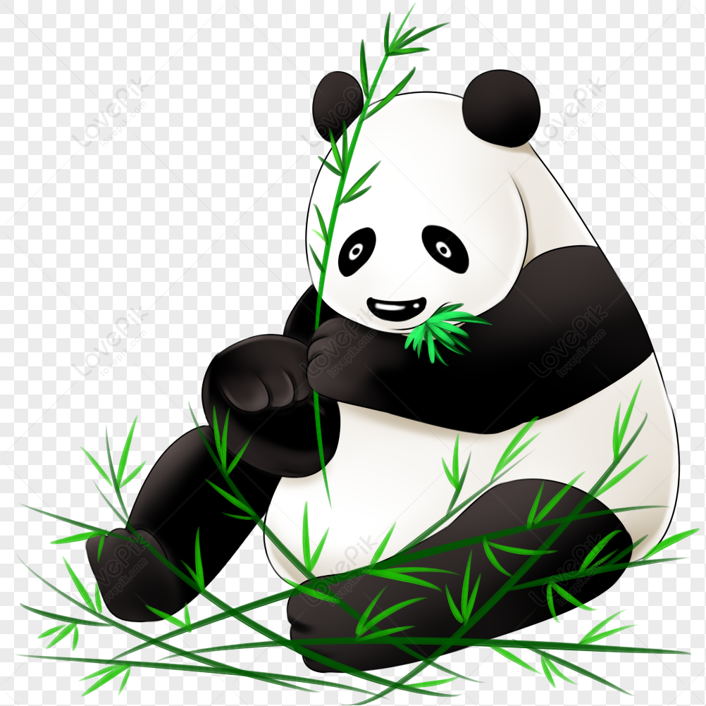 Panda Eating Bamboo PNG Images With Transparent Background | Free Download  On Lovepik