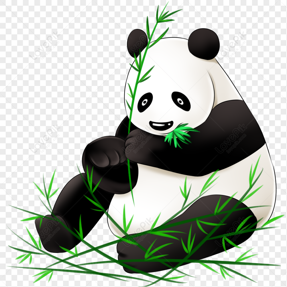 pandas eating bamboo