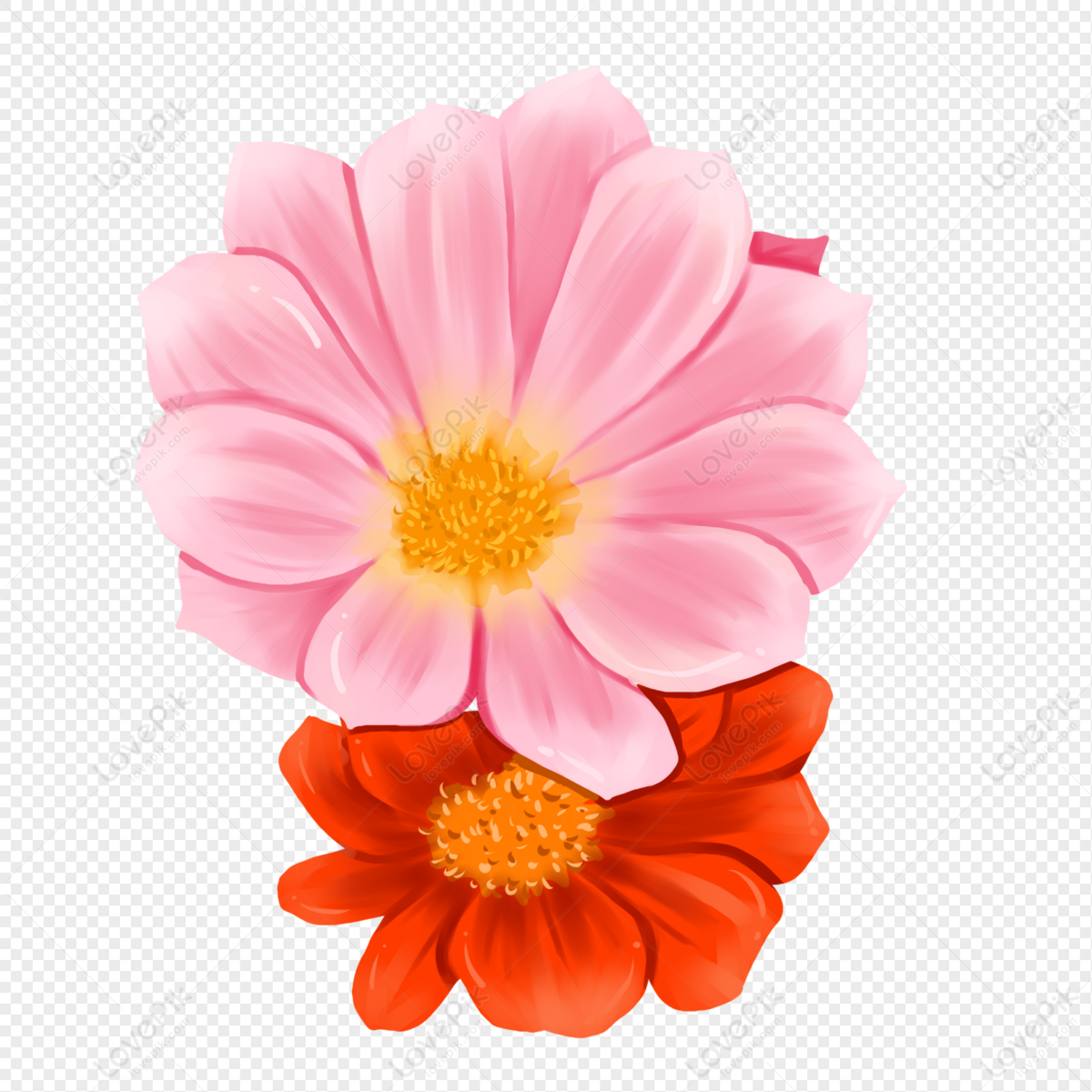 Elementos Florales Pintados A Mano De Gerbera Rosa PNG Imágenes Gratis -  Lovepik