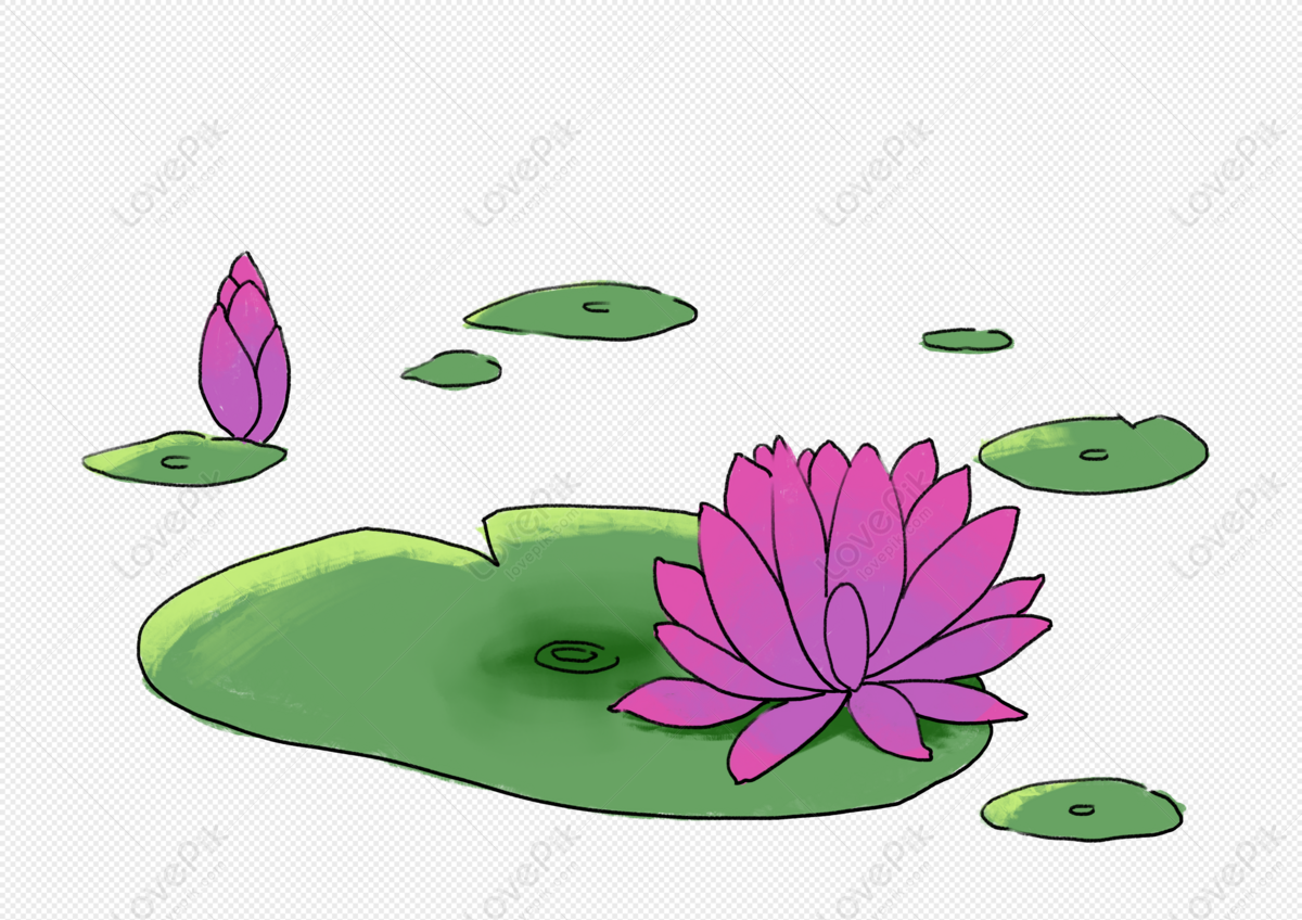 Nếu bạn muốn học cách vẽ hoa sen một cách đơn giản, hãy xem những hình ảnh liên quan đến từ khóa \