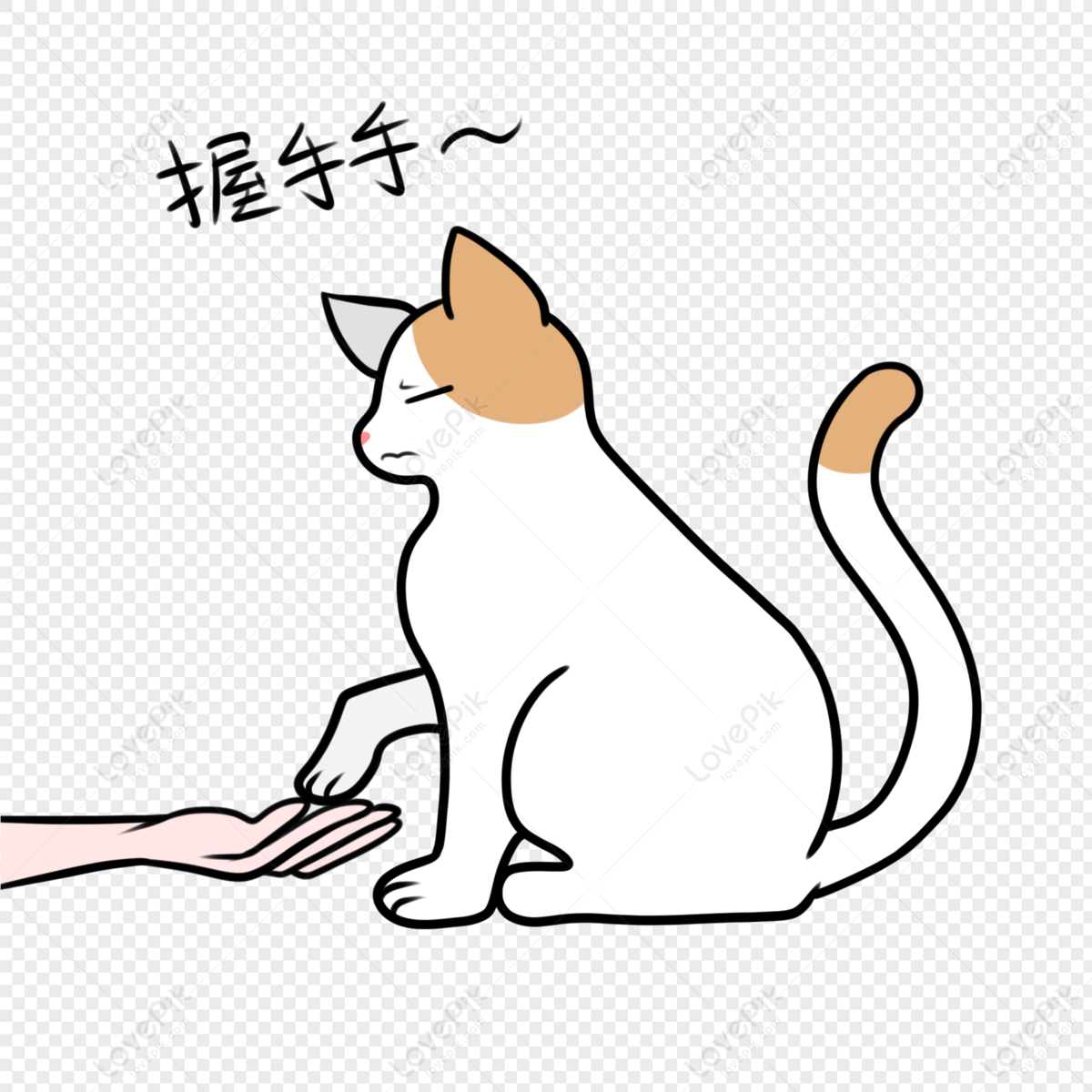 Clipart De Gato Branco Desenhado à Mão PNG , Branco, Garra, Gato