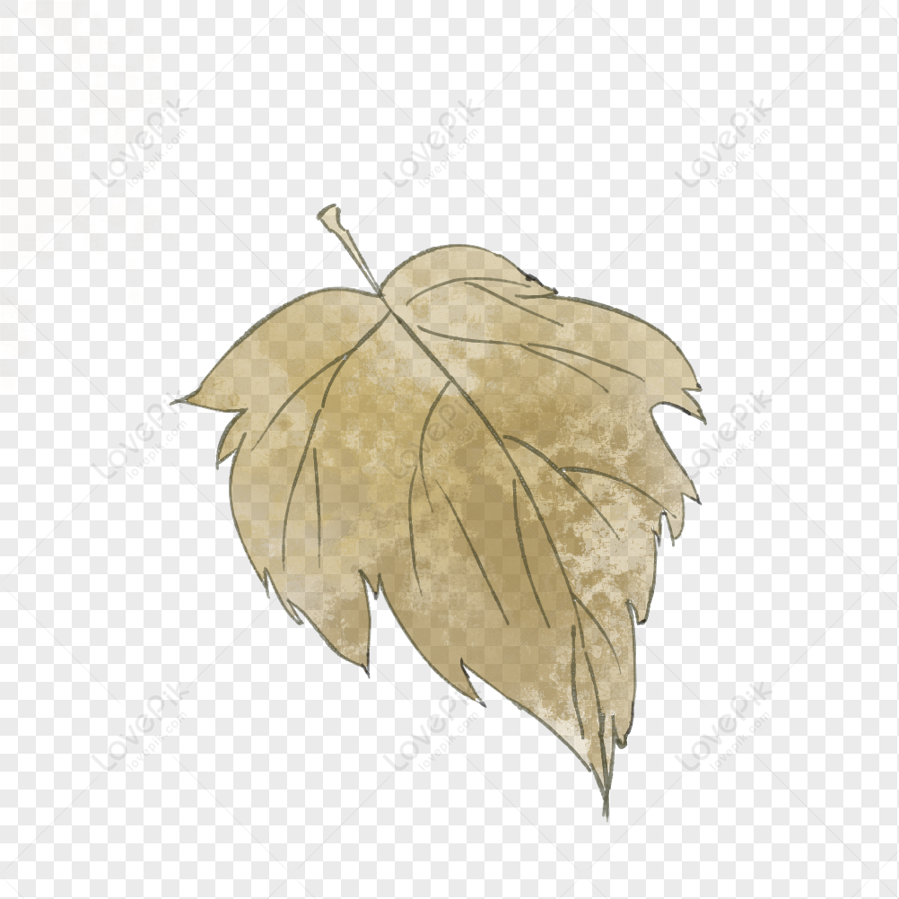 How to draw a Maple Leaf Real Easy - YouTube