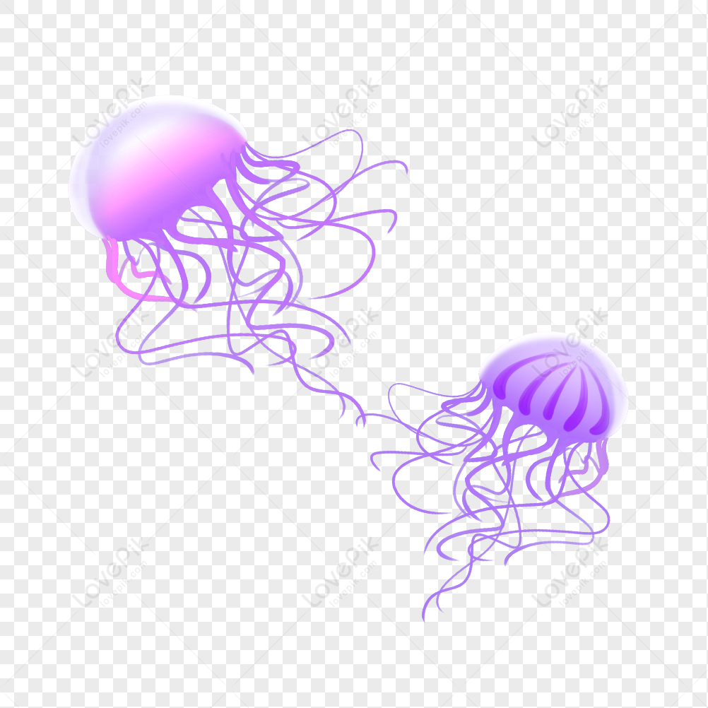 Jellyfish Png Image And Clipart Image For Free Download - Lovepik 