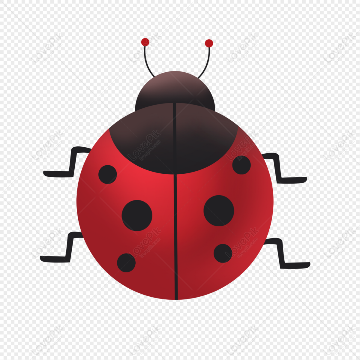 Free Ladybug Flying PNG Images & PSDs for Downloads