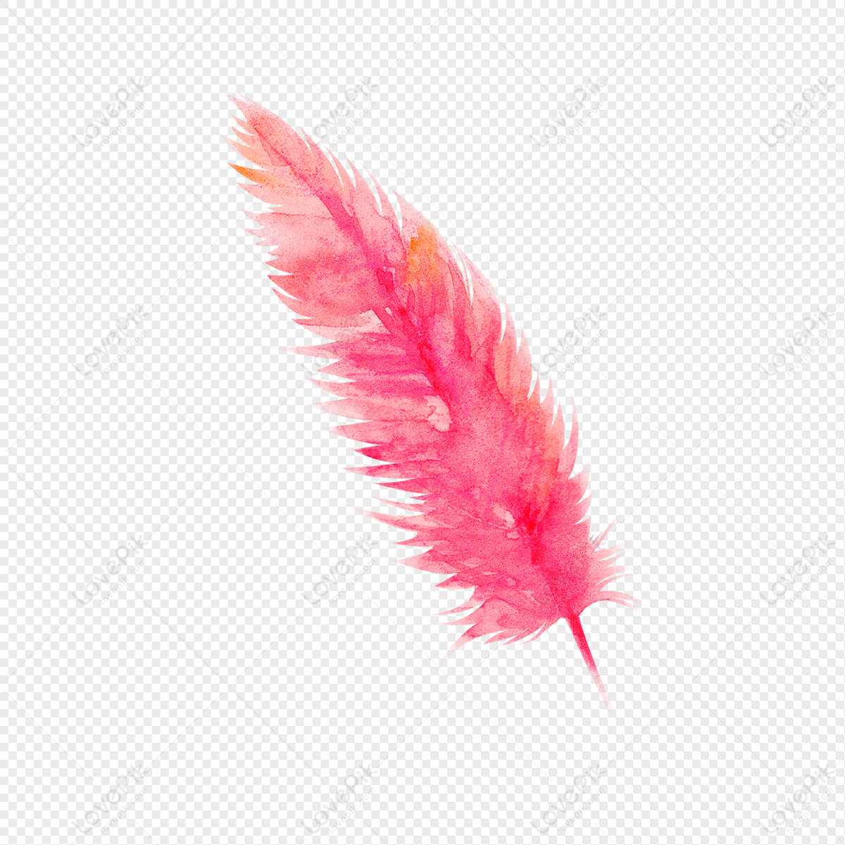 Pink Feather PNG Transparent Images Free Download, Vector Files