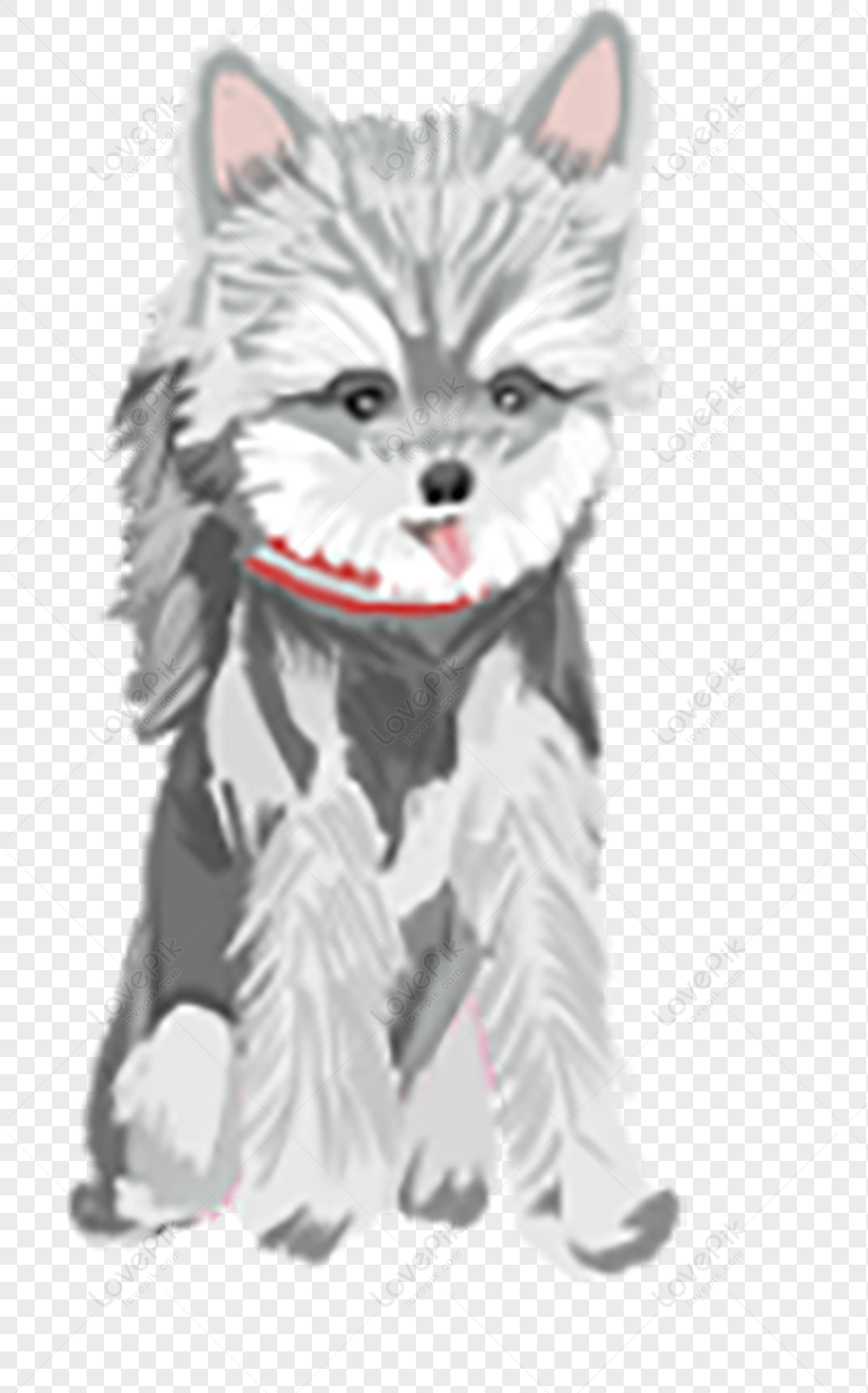 Schnauzer, Gray White, Dark Gray, Dog White PNG Transparent Background ...