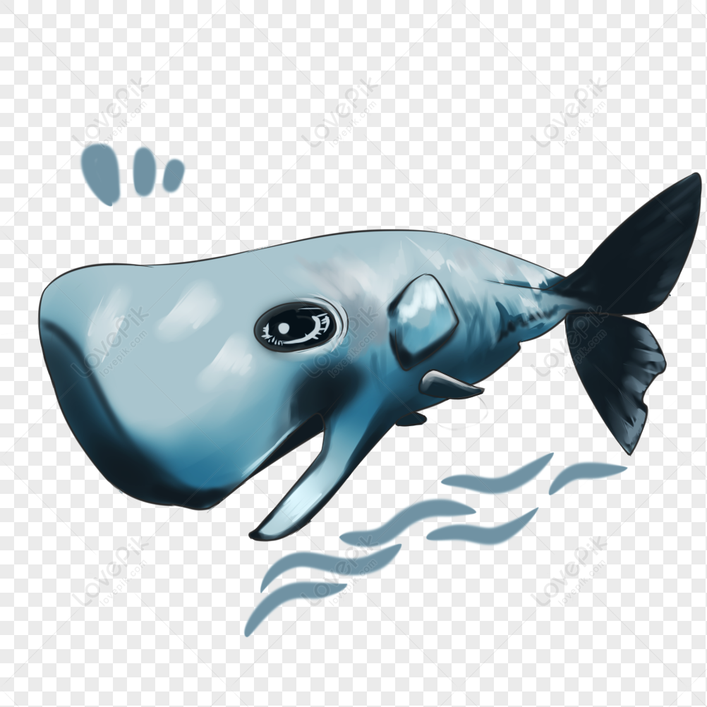Sperm Whale PNG Images With Transparent Background | Free Download On  Lovepik