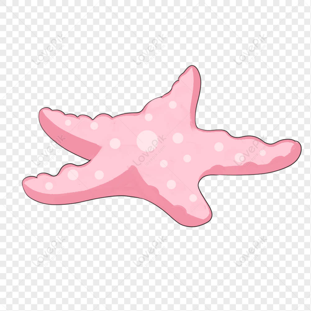 Starfish PNG Picture And Clipart Image For Free Download - Lovepik |  401392855