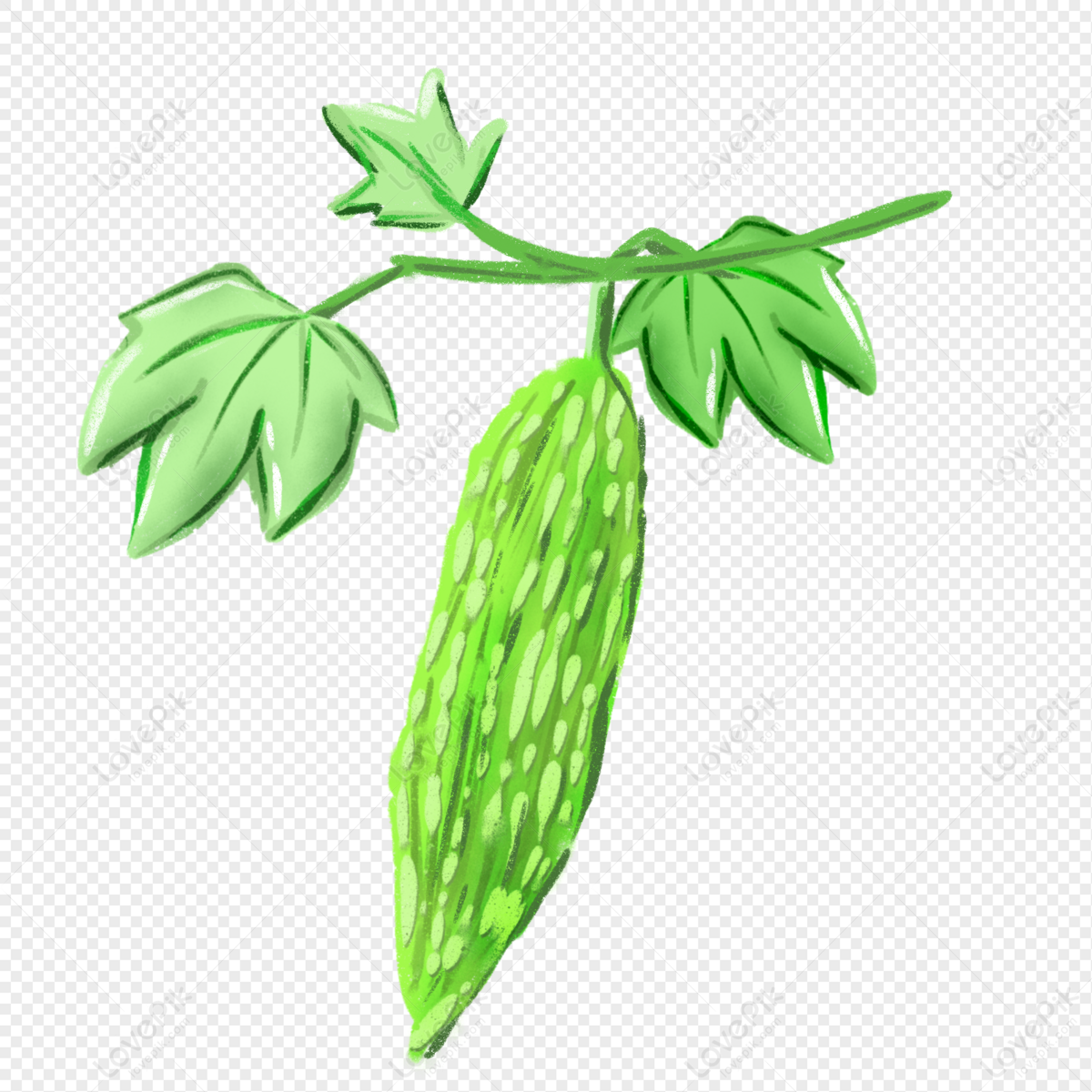 Trending AI Image Generator of bitter gourd images | PromeAI