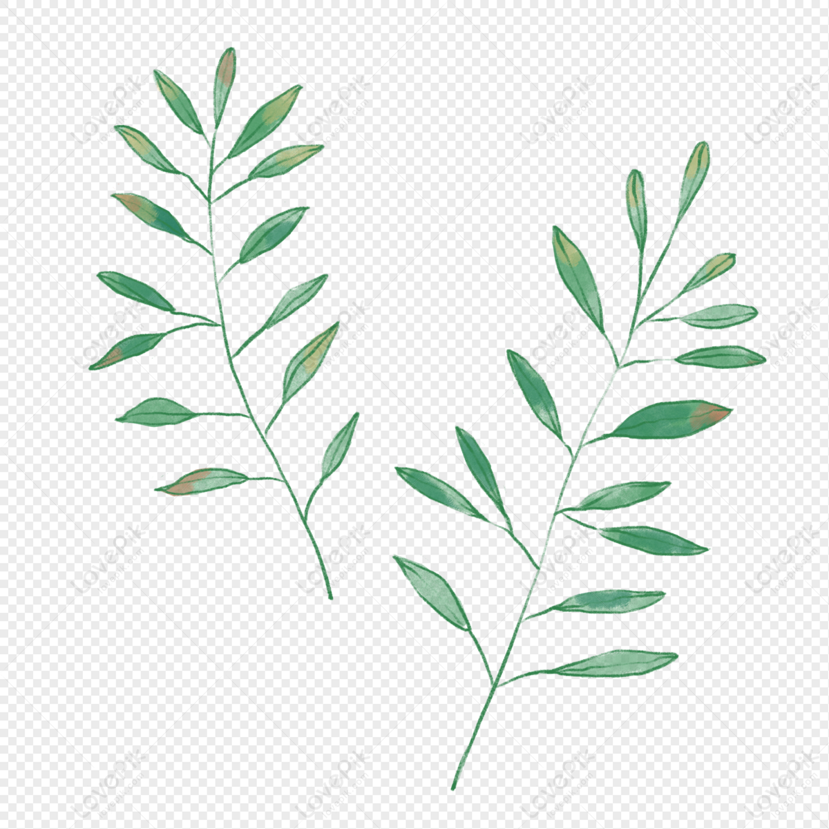 Watercolor Leaves, Green Leaves, Branches Watercolor, Vector Watercolor ...