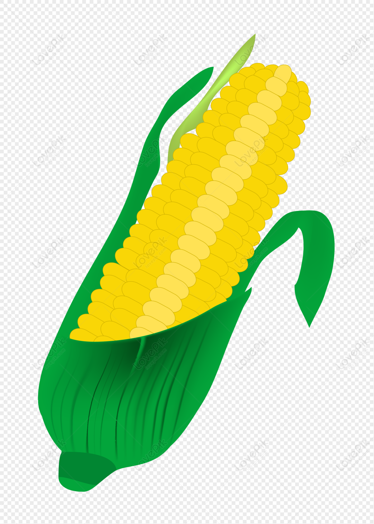 Yellow Corn Cob PNG Picture And Clipart Image For Free Download - Lovepik |  401385745