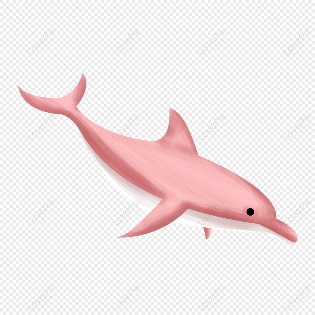 Cartoon Dolphin PNG Free Download And Clipart Image For Free Download -  Lovepik | 401415903