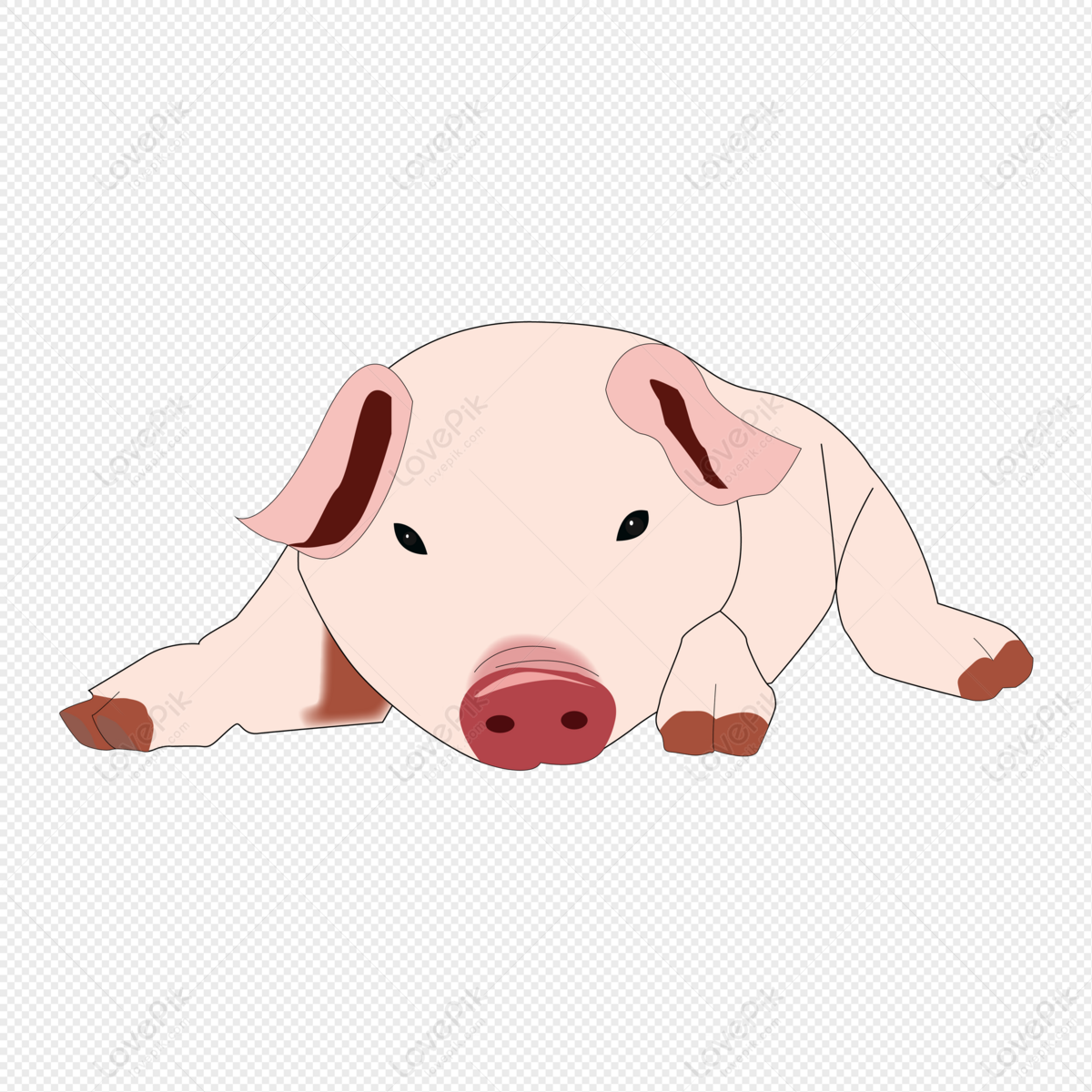 Cute Cartoon Hand Drawn Animal Squatting Pig PNG Transparent And Clipart  Image For Free Download - Lovepik | 401409996