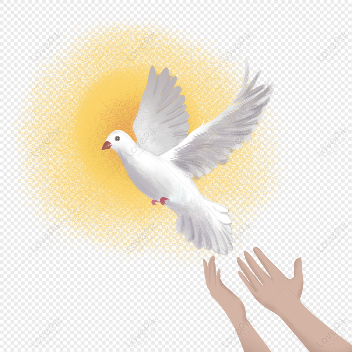 Flying Pigeon PNG Transparent Background And Clipart Image For Free  Download - Lovepik | 401405380